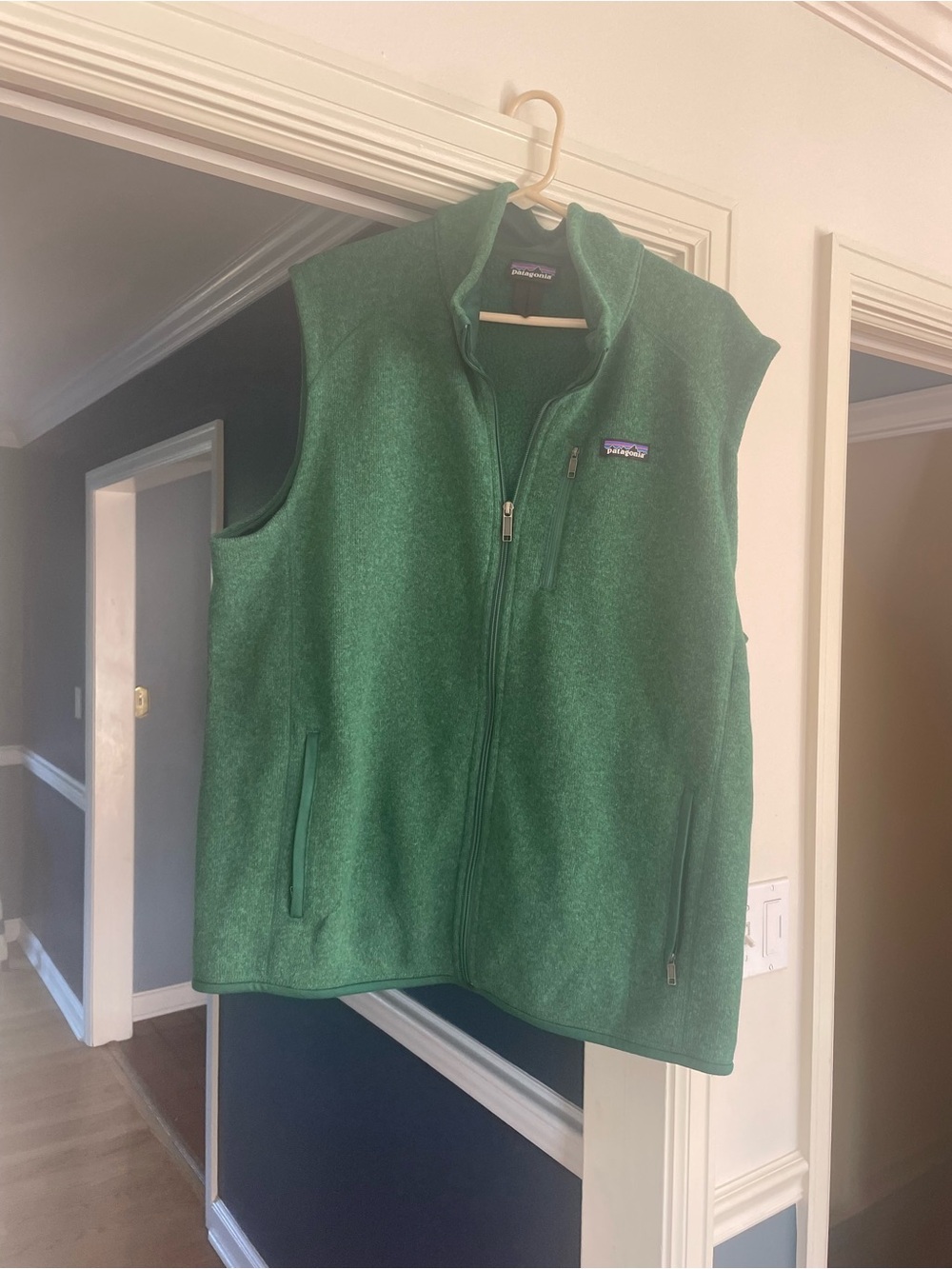 Patagonia Men’s Green Full-Zip Fleece Vest EUC! Xxl fleece synchilla